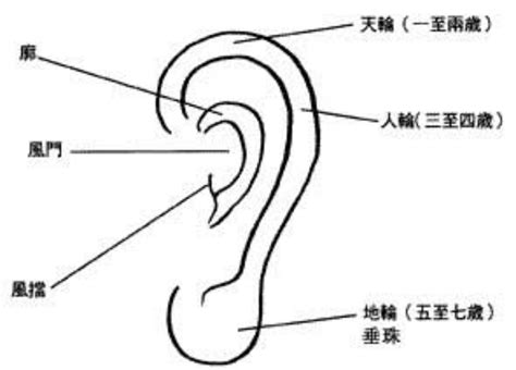 耳朵白 面相|面相入门